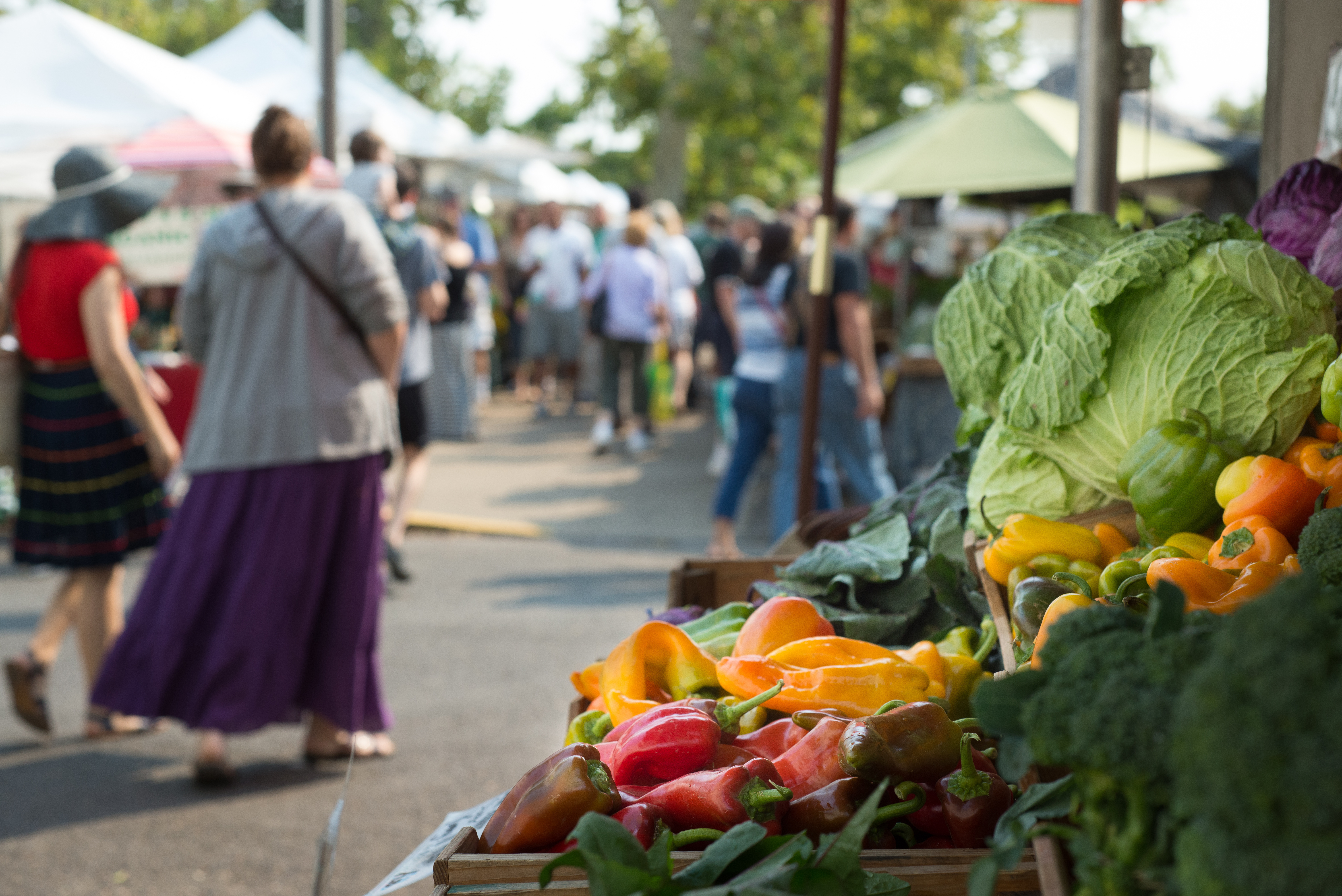 farmers market