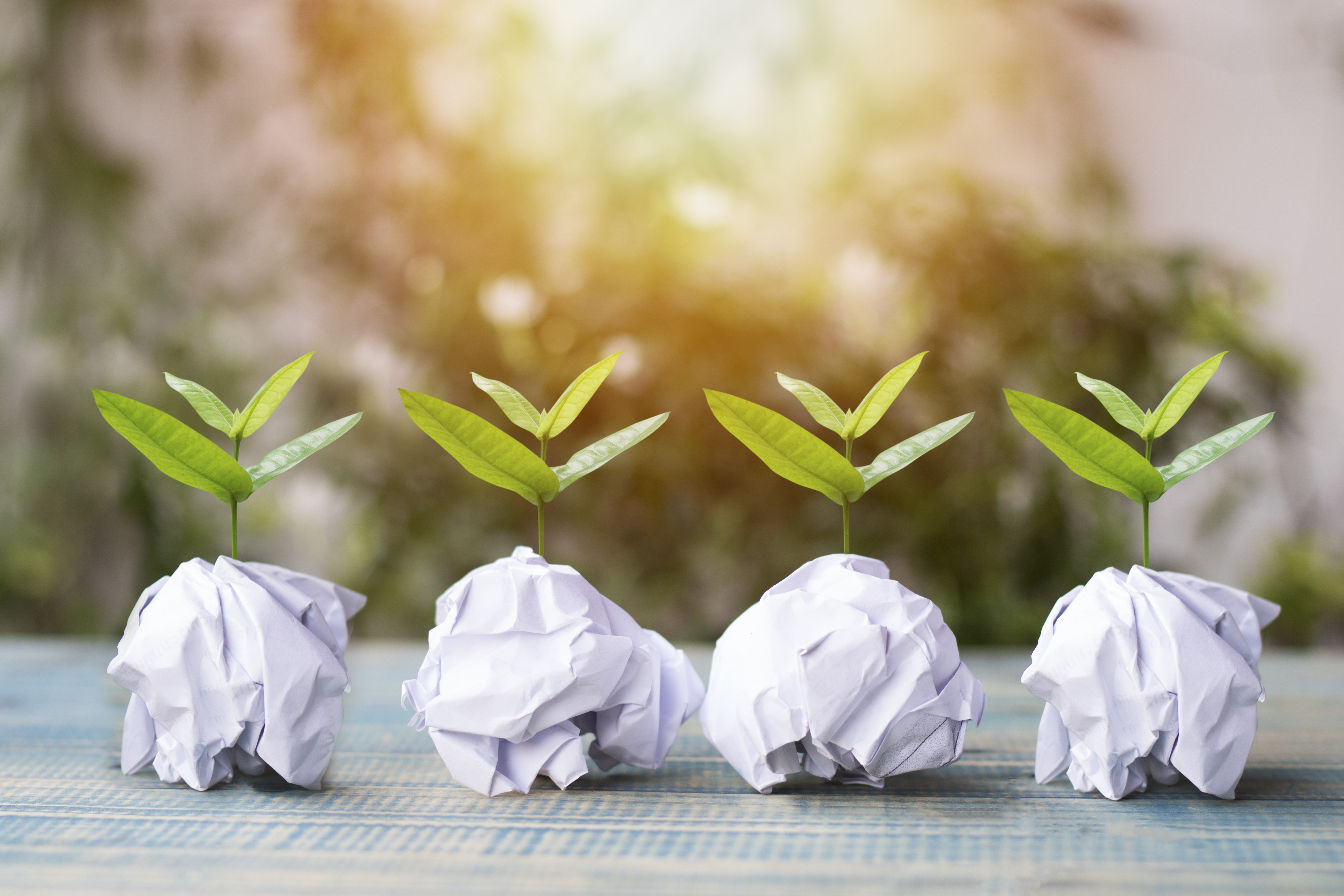 Image of trees growing from paper