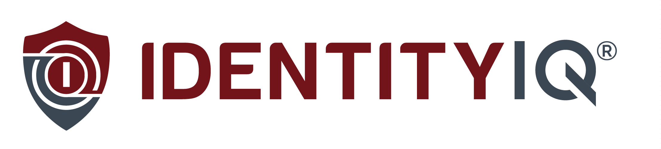 Identity IQ Logo