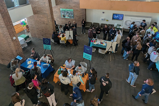 Reality Fair