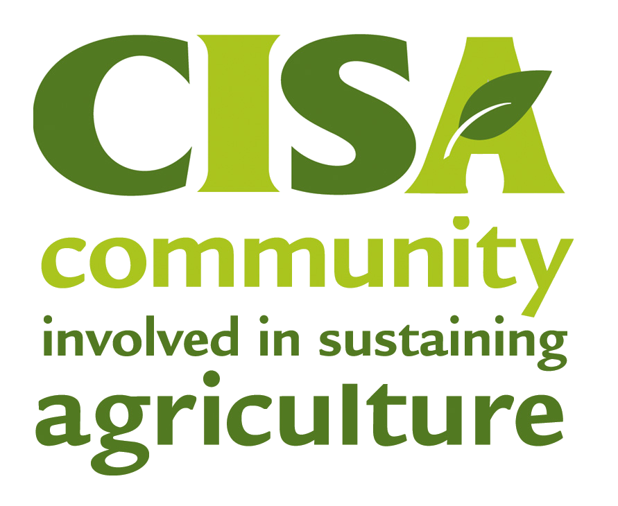 CISA logo