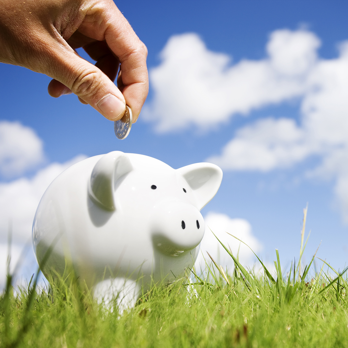 financial wellness